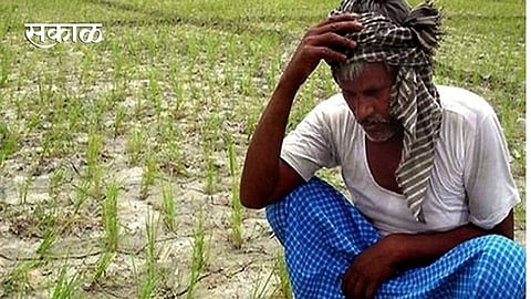 farmer