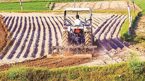 farming file pic