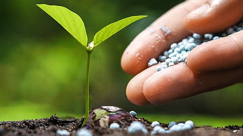 fertilizer