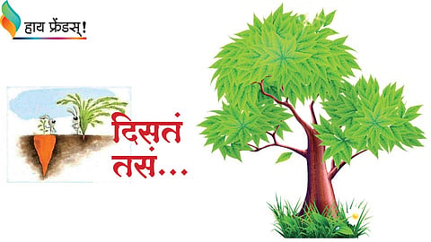 sai write article in SmartSobati
