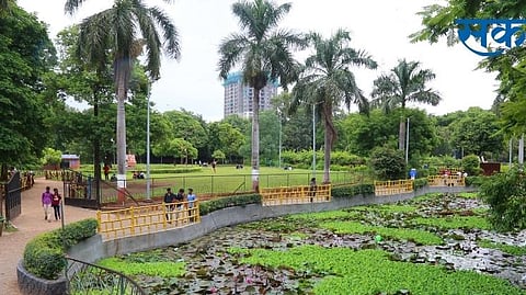 Garden News reference