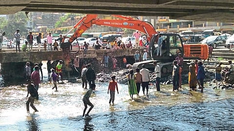 godavari river
