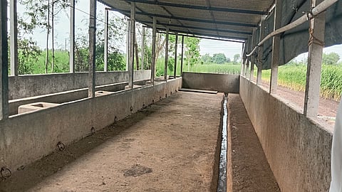 Corona's blow; Balwadi farmer sold 34 cows
