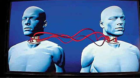 Human body