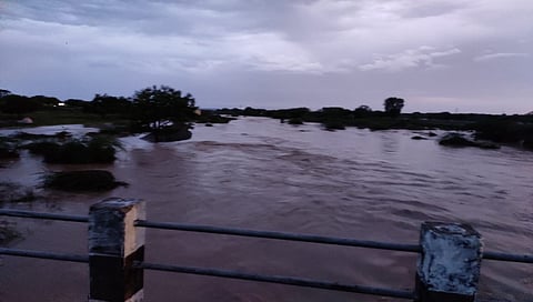 jalna paus.jpg