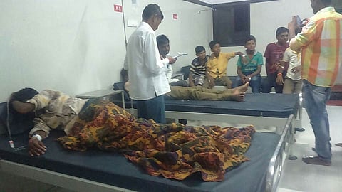 Seven children poisoned after eating Jatropha seeds