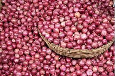 In more than four lakh tonnes of onions