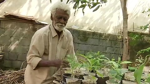 karnataka roadside sapling seller s sales double after viral photo