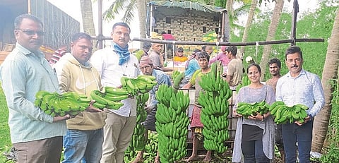Bananas from Bedag-Sangali going to Dubai ...