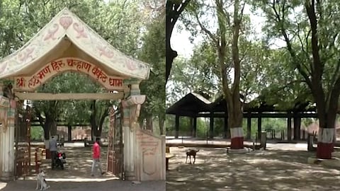 akola buldana news Shocking type; The bodies from the cemetery were brought to the streets by stray dogs