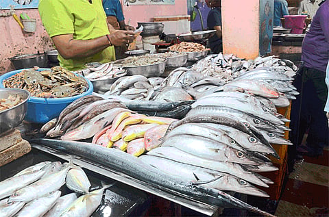 rate increase of fish in belgaum market