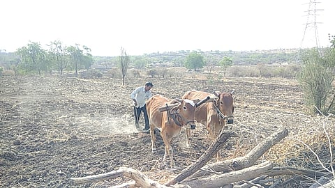 file photo