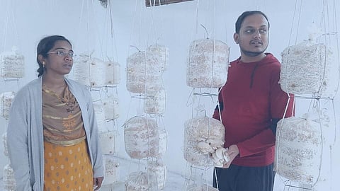 akola news The computer engineer started the mushroom business