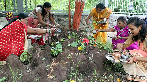 nagpanchami.jpg