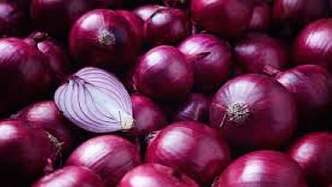 Onion prices doubled Consolation to growers 450 per 10 kg onion in wholesale market