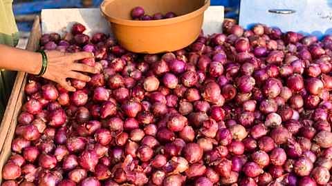 onion