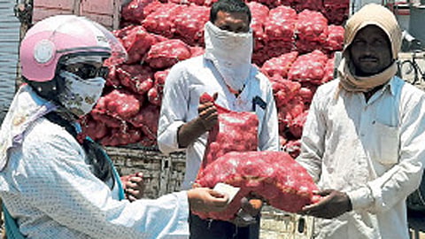 Nagar young farmer