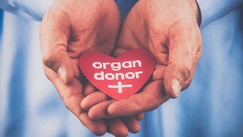 organ