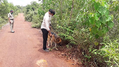Illegal zealots and explosives were found in the canal near High Valley Hotel at Gadgewadi in Banda cit