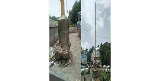 pol.jpg
