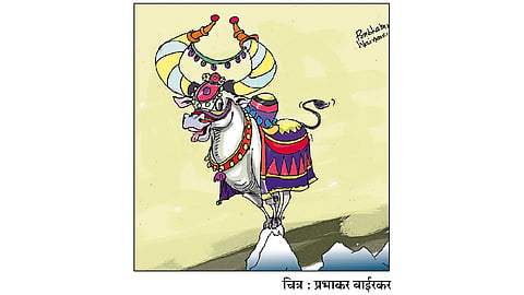 ढिंग टांग : पोळा!