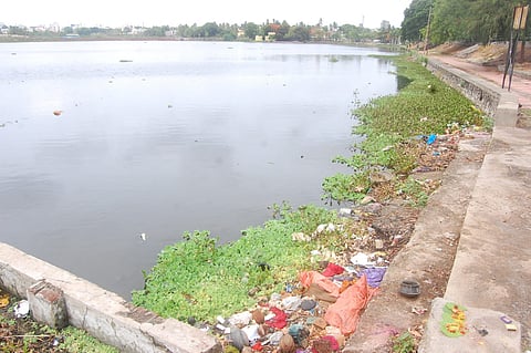 pradushan1.jpg