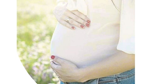 pregnancy