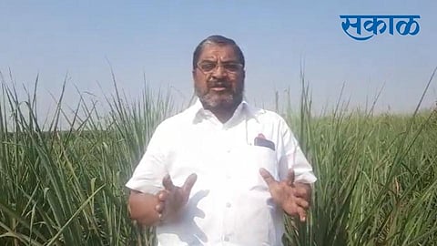 raju shetti criticism on satej patil congress