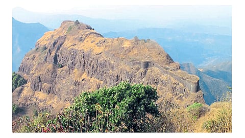 Konkan Tourism Development kokan marathi news