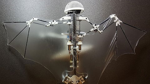 bat robot