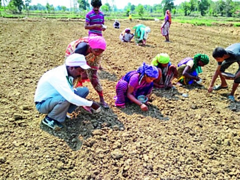 saguna method