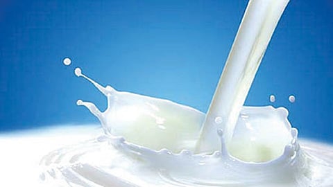 Dairy declares dividend instead of rebate per liter of milk