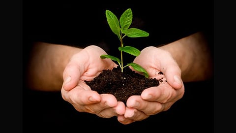 save-trees