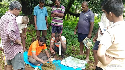 One and a half lakh income from three layer mulching farming in ratnagiri