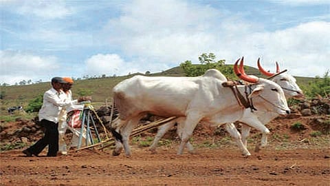 file photo