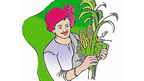 Tehsildar Ganesh Jadhav informed that the subsidy has been collected for the farmers affected by heavy rains