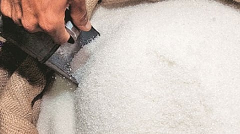 Sugar Production