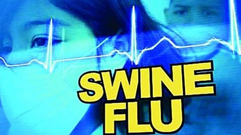 स्वाइन फ्लूचे अत्यवस्थचे सर्वाधिक रुग्ण पुण्यात