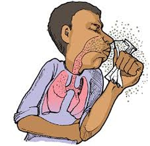 Special care is taken of TB patients in corona