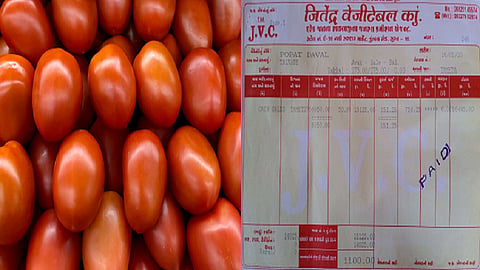 tomatoes2.png