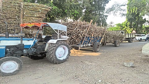 Angad carts instead of bullock carts for transporting sugarcane