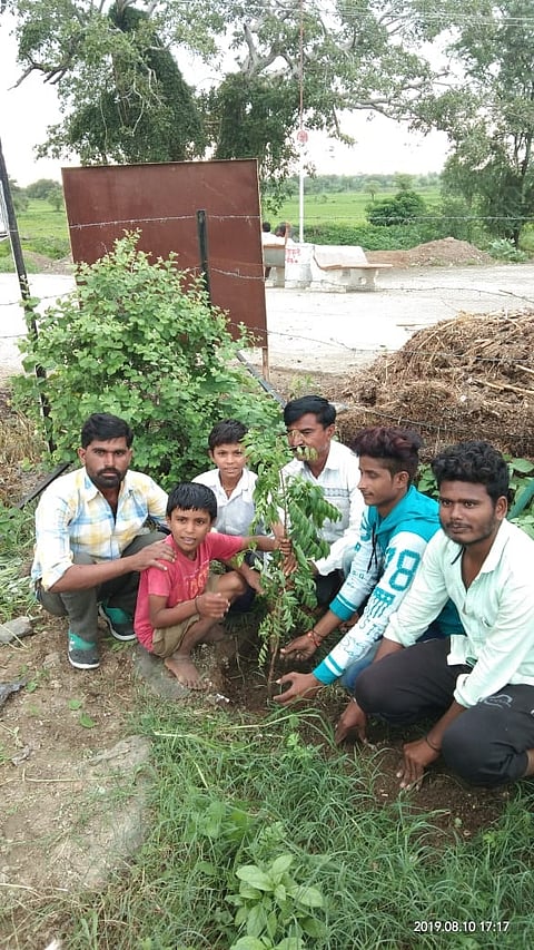 tree