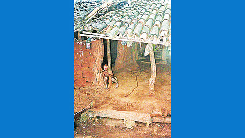 tribals