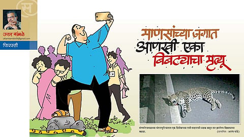 माणसांच्या जगात आणखी एका बिबट्याचा मृत्यू (उत्तम कांबळे)