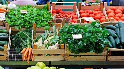 vegetables News