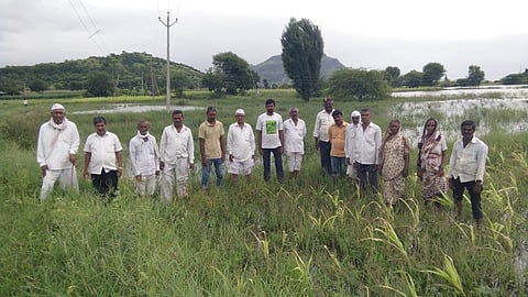 water in farm.jpg