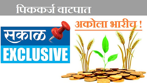 Akola News 54 crore peak loans allotted for rabbis, 90 per cent of the target allocated