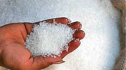 sugar exports