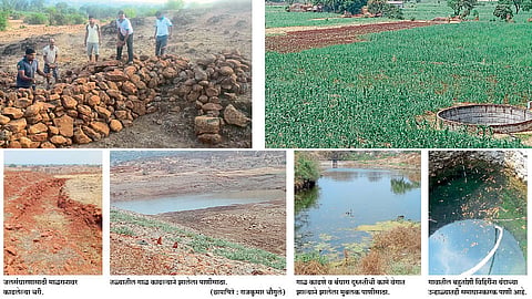 सरला दुष्काळ... जाखलेत चहूकडे हिरवाईचा सुकाळ