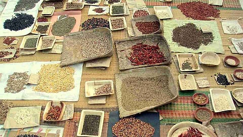 पारंपारिक व दुर्मिळ वनस्पती संवर्धनासाठी बक्षीस योजना